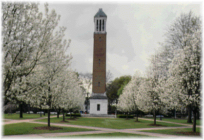 quad.gif (52482 bytes)